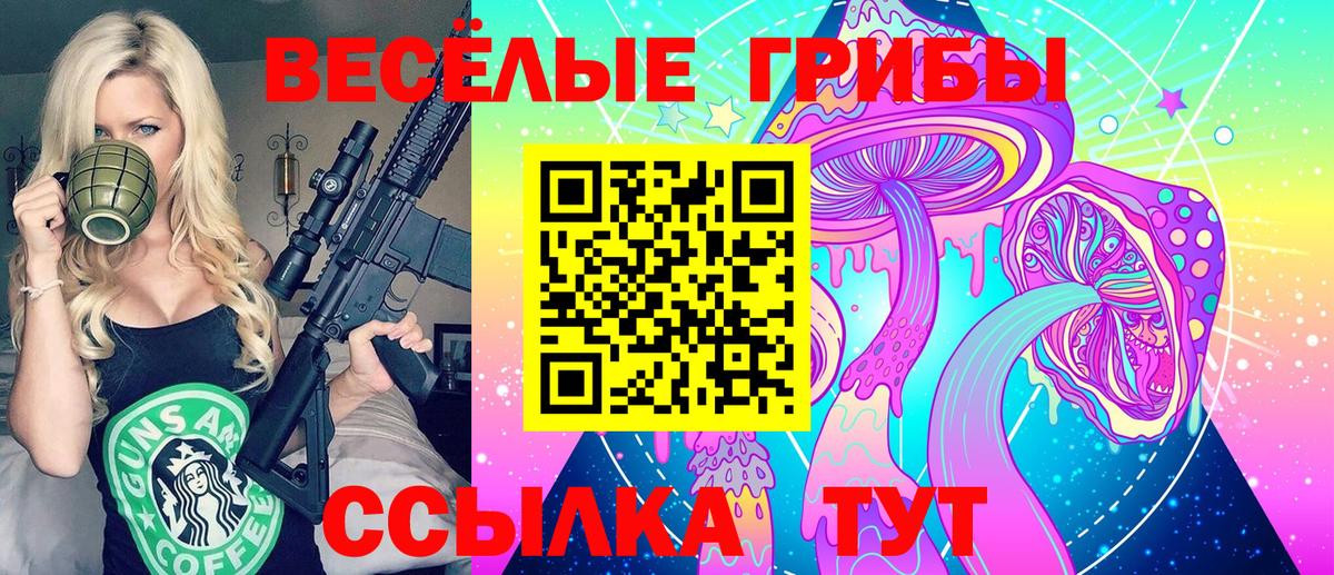 Полысаево  Псилоцибиновые грибы Psilocybine cubensis  Вход с VPN 