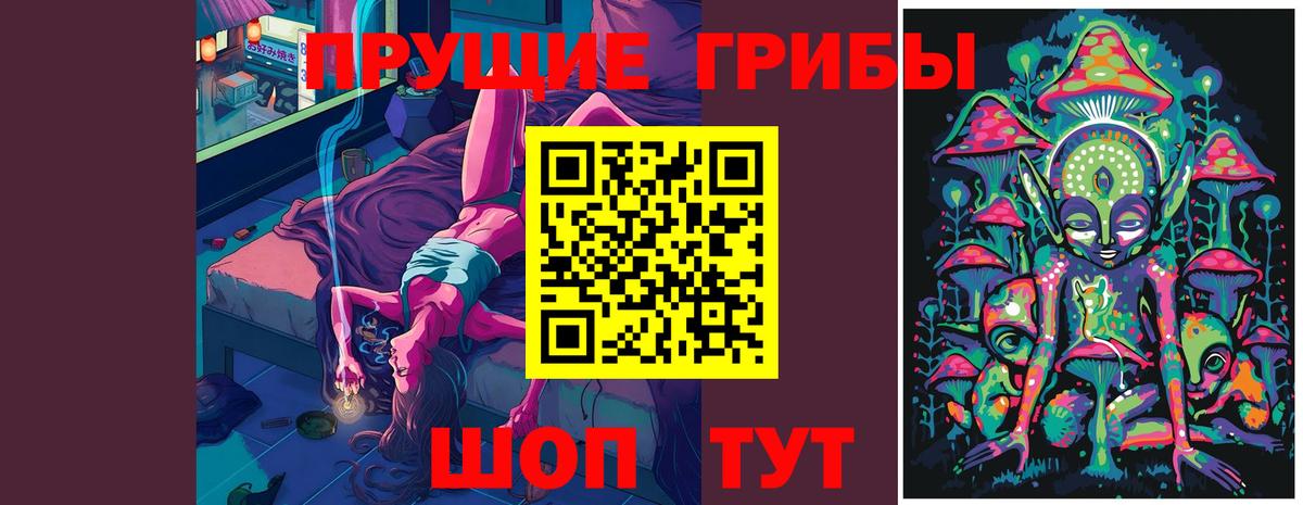 Псилоцибиновые грибы Cubensis Полысаево